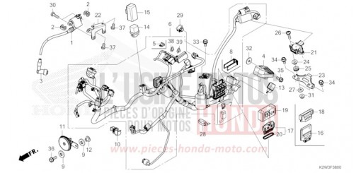 WIRE HARNESS ST125AP de 2023
